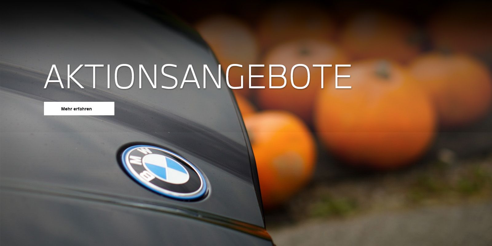 Aktionsangebot für den Herbst und Winter